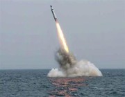 كوريا الشمالية أجرت تجربة لصاروخ باليستي يرجح أنه أطلق من غواصة