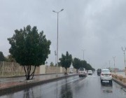 “الحصيني”: أجواء معتدلة اليوم تميل للبرودة فجراً مع أمطار خفيفة بهذه المناطق