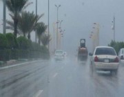 “الأرصاد”: رياح نشطة وأمطار رعدية تضرب منطقة عسير