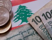 بعد قرار وقف الاستيراد منها.. تعرف على خسائر الاقتصاد اللبناني السنوية