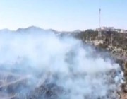 اندلاع حريق بأحد متنزهات النماص في عسير (فيديو)