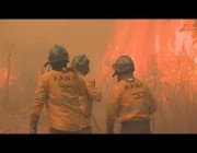 حرائق الغابات في الأرجنتين