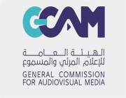 الهيئة العامة للإعلام المرئي والمسموع تبحث تطوير قطاع السينما مع كبرى الشركات العالمية