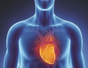 شاهد.. استشاري يكشف أسباب إصابة 35 % من الجنسين بأمراض القلب