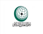 منظمة التعاون الإسلامي ترحب بتصنيف مجلس الأمن قيادات حـوثية إرهـابية في قائمة العقوبات الدولية