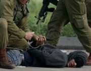 قوات الاحتلال تعتقل أربعة فلسطينيين من القدس بينهم ثلاثة إخوة