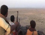 تحرير عدد من المناطق غرب اليمن وخسائر كبيرة للحوثيين