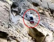 فيديو.. مرشد سياحي يتسلق أحد الجبال الصخرية بجازان وهو حافي القدمين