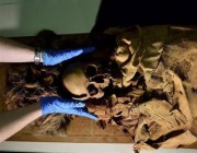 علماء الآثار يعثرون على مومياء عمرها 800 عام في بيرو