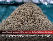 إحباط مخطط لتهريب أكثر من 1.7 مليون قرص إمفيتامين عبر ميناء جدة الإسلامي (فيديو)