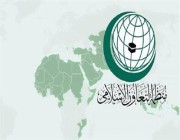 ” التعاون الإسلامي” تدين المحاولات الحوثية لتهديد حركة الملاحة العالمية في جنوب البحر الأحمر