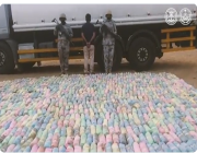حرس الحدود يحبط محاولة تهريب 825 كيلو جرامًا من القات المخدر في منطقة جازان (فيديو)