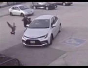 طائر يهاجم امرأة ويمنعها من دخول سيارتها
