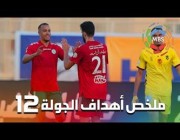 ملخص أهداف الجولة الـ12 من الدوري السعودي للمحترفين