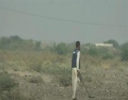 فيديو.. تفكيك ألغام حـوثية من حقول زراعية غرب اليمن