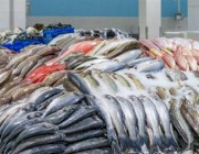 نتيجة الهدر.. المملكة تفقد 18.5% من الأسماك سنويًا