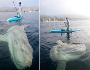 أمريكيان يرصدان سمكة ضخمة ونادرة صدفةً أثناء قيامهما برحلة بحرية (صور)