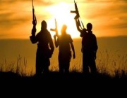 بينها داعـش والقاعدة.. “اعتدال” يرصد 1.9 ألف حساب بمواقع التواصل الاجتماعي لـ 4 تنظيمات إرهـابية