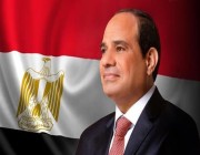 الرئيس المصري يقول بطاقات التموين لحديثي الزواج لن تشمل أطفالهم