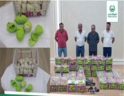 شرطة دبي تحبط تهريب 1.2 مليون قرص كبتاجون في “شحنات ليمون” (فيديو)