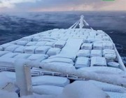 شاهد.. ميناء روسي يتسلم شحنة سيارات يابانية جديدة مغطاة بطبقة من الجليد