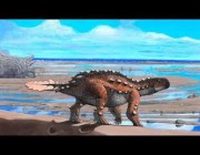 اكتشاف ديناصور مدرع في تشيلي يرجع تاريخه لـ 74 مليون سنة