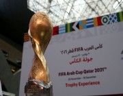 تونس تواجه الجزائر في نهائي البطولة بعد إقصائهما مصر وقطر