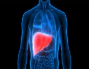 خبراء يحددون 7 عادات يومية تسبب في تلف الكبد