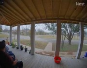زوج يهرع لإنقاذ زوجته بعد أن طاردها أحد الكلاب في تكساس الأمريكية