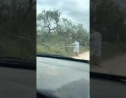 ساعي بريد ينقذ غزالاً علق في سياج بإحدى مناطق ولاية تكساس الأمريكية