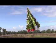 شاهد.. شجرة الكريسماس الطائرة في كاليفورنيا