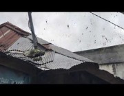 ظاهرة العناكب في خطوط الكهرباء بإندونيسيا