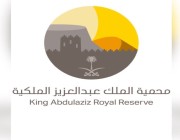 هيئة تطوير محمية الملك عبدالعزيز الملكية تلتقي بوفد وزارة السياحة الكينية
