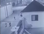 فيديو.. كلاب ضالة تطارد طفلاً يقود دراجة هوائية ليلاً بالطائف وهكذا نجا منها