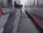حصان ينجو من المـوت بأعجوبة بعد دخوله بين قطارين في مصر (فيديو)