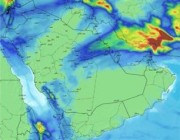 “الحصيني”: 3 ظواهر جوية تؤثر على أجزاء من مناطق المملكة.. تشمل تساقط ثلوج وأمطار وبرودة