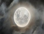 فلكية جدة: القمر “البدر” يزين سماء المملكة الليلة