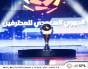 الكشف عن قرار أندية الدوري بشأن “أجانب” الموسم المقبل