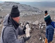 مستكشف أجنبي يوثق مع أسرته رحلته وسط الثلوج بجنوب تبوك (فيديو)