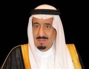 موافقة سامية على تشكيل مجلس إدارة الهيئة السعودية للملكية الفكرية