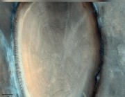 مسبار المريخ يلتقط صورة على سطح الكوكب تشبه جذع شجرة.. وهذه حقيقتها