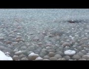 تكوّن كرات ثلجية غريبة الشكل في مياه ميتشجان بالولايات المتحدة