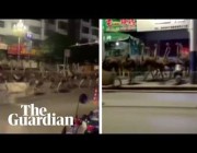 قطيع من النعام يتجول في أحد شوارع الصين