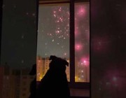 كلب يتفاعل مع عرض للألعاب النارية في روسيا