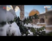 مشهد خلاب للمسجد الأقصى مكتسياً بالأبيض بعد تساقط الثلوج