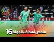 ملخص أهداف الجولة 16 من الدوري