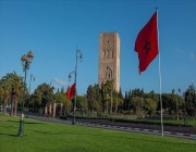 وزير الخارجية التونسي يجري اتصالًا هاتفيًا مع وزير الخارجية الإماراتي