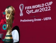 خلال فترة المبيعات الأولى.. 17 مليون طلب تذكرة لكأس العالم 2022
