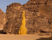 انطلاق معرض “صحراء إكس” في نسخته الثانية بالعُلا (فيديو وصور)