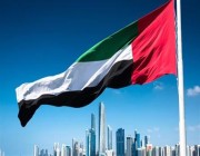 لدعمهم مليشيا الحوثي.. الإمارات تدرج فردًا و5 كيانات ضمن القائمة المحلية للإرهاب